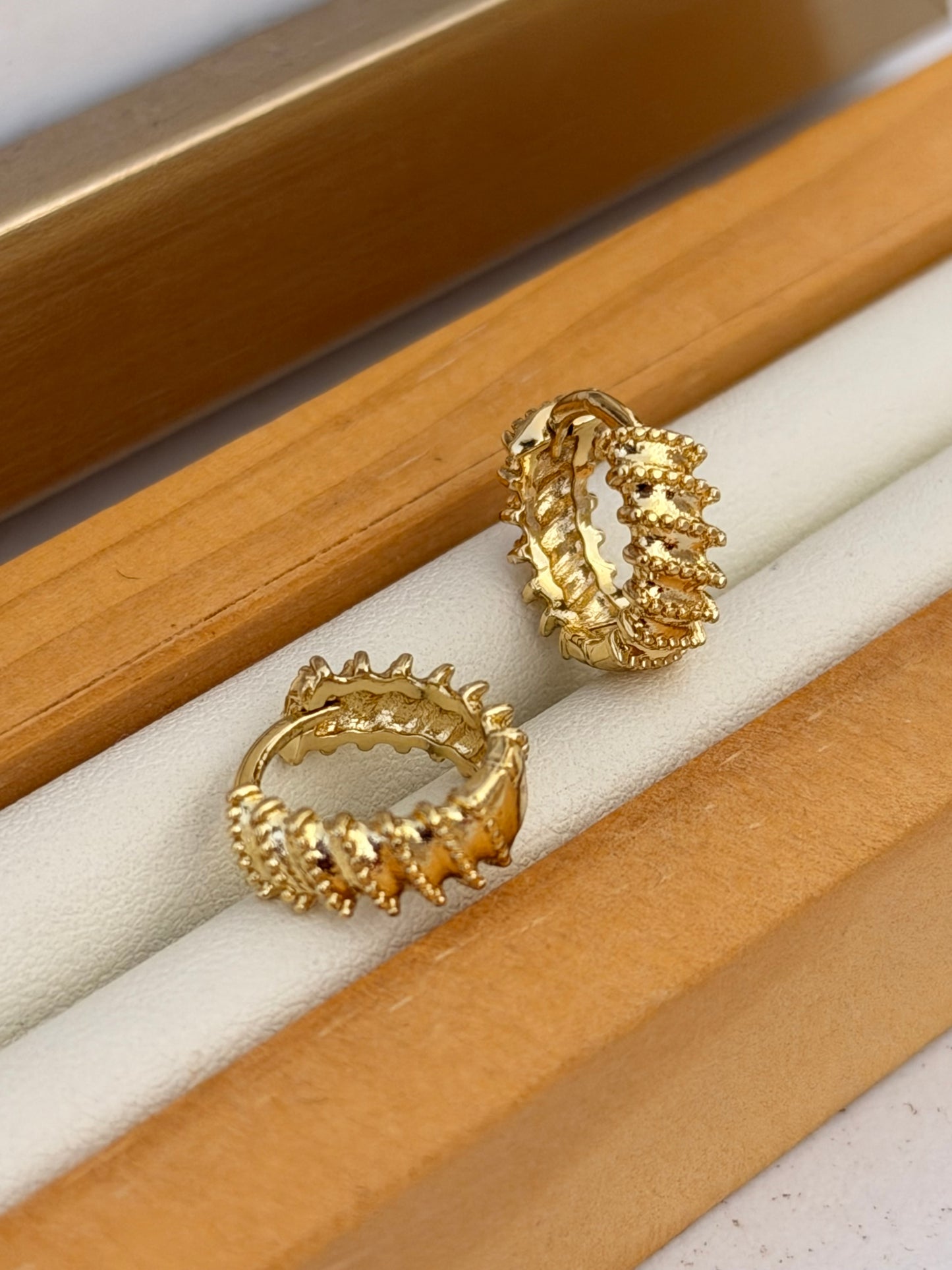 Candonga espiral pequeña