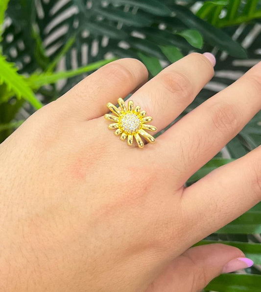 Anillo A4760 graduable
